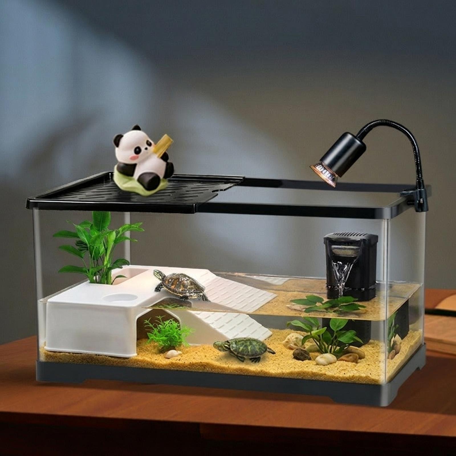Aquarium Innovative Marine - Plataforma de Descanso para Tartarugas, Terraço