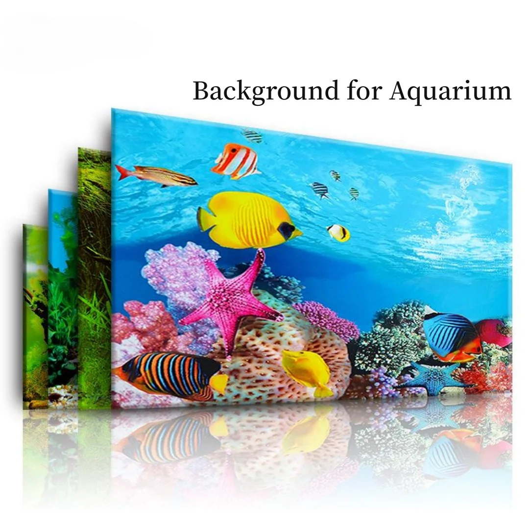 Aquarium Innovative Marine - Fundo aquário 3d adesivo cartaz decoração