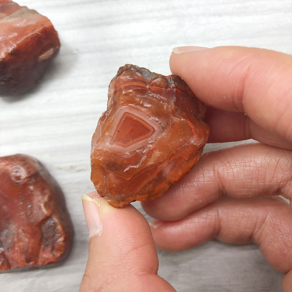 Aquarium Innovative Marine - 1pc aleatório áspero cru carnelian ágata