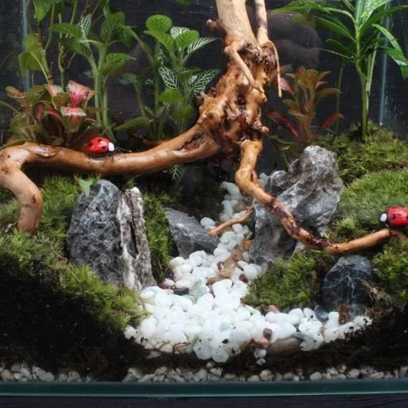 Natural Tree Tronco Driftwood  - Aquarium Innovative Marine avaliação e preço