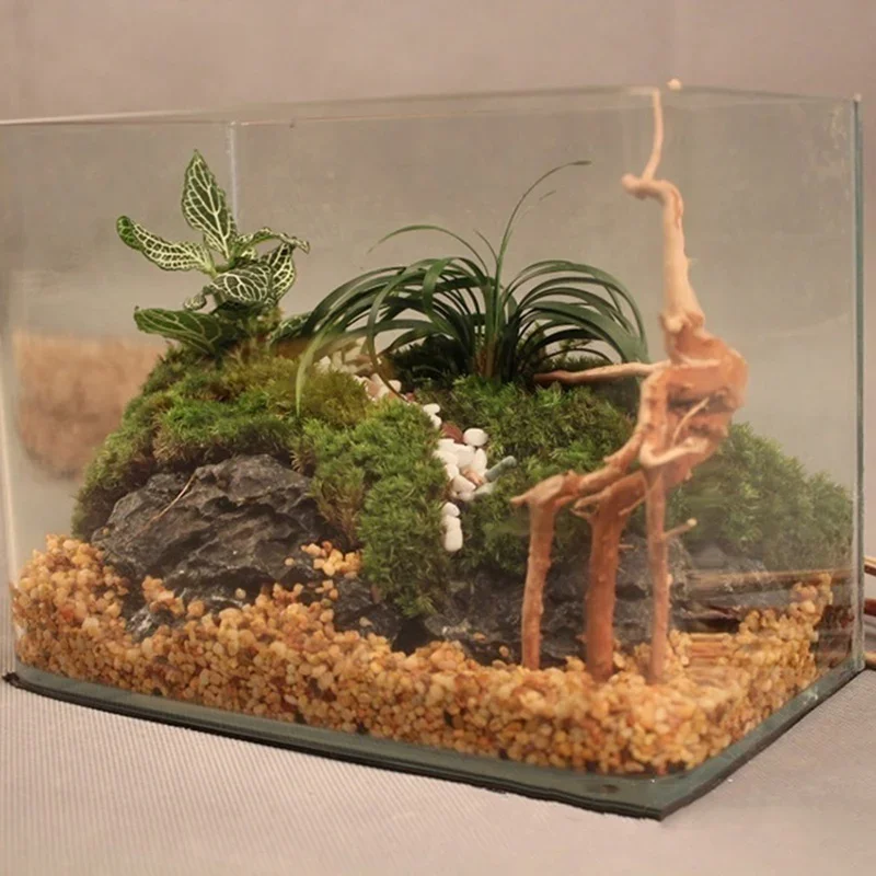 Natural Tree Tronco Driftwood  - Aquarium Innovative Marine avaliação e preço