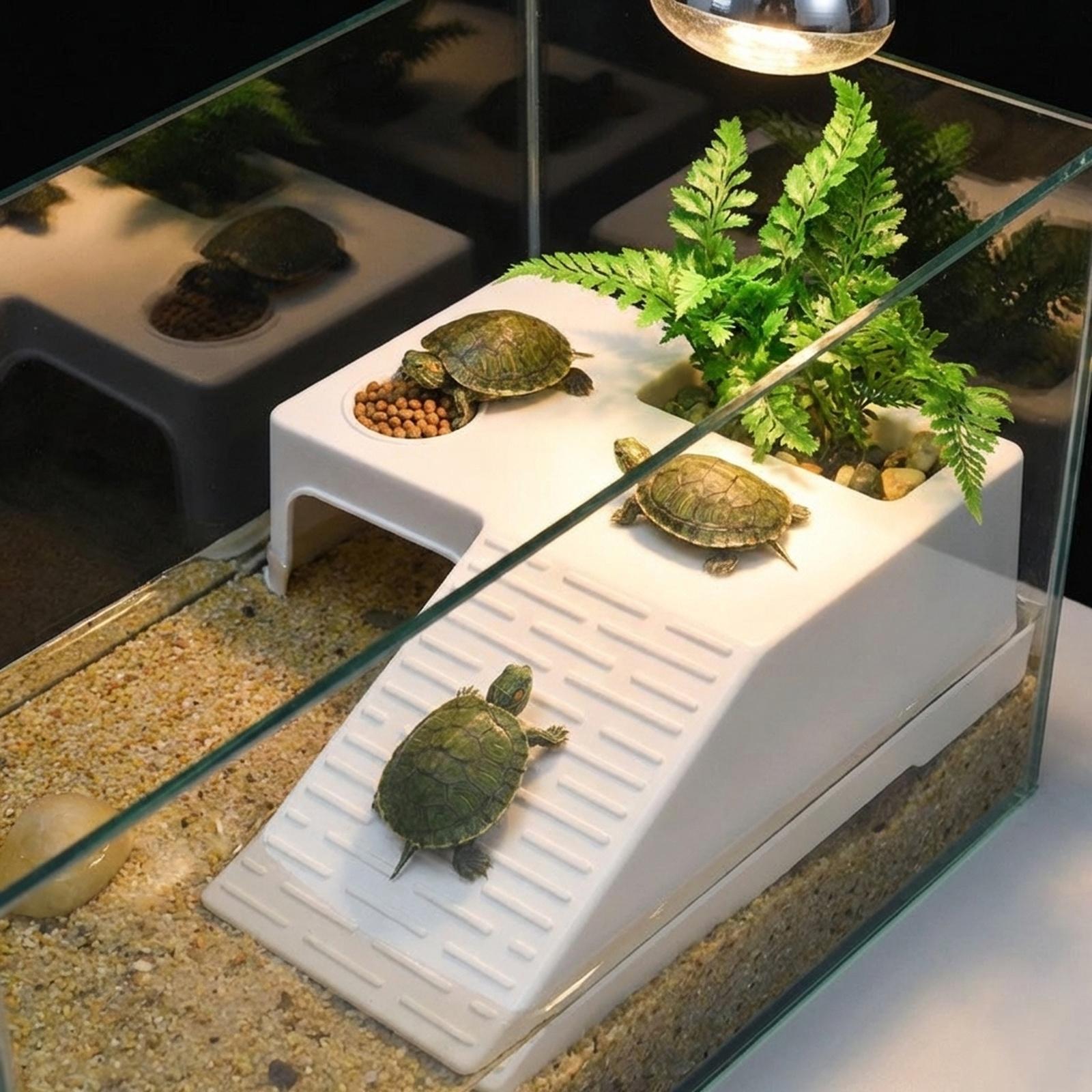 Plataforma de Descanso para Ta - Aquarium Innovative Marine avaliação e preço
