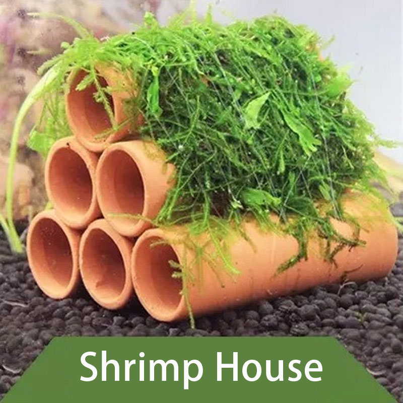 Argilla decoração do aquário p - Aquarium Innovative Marine avaliação e preço