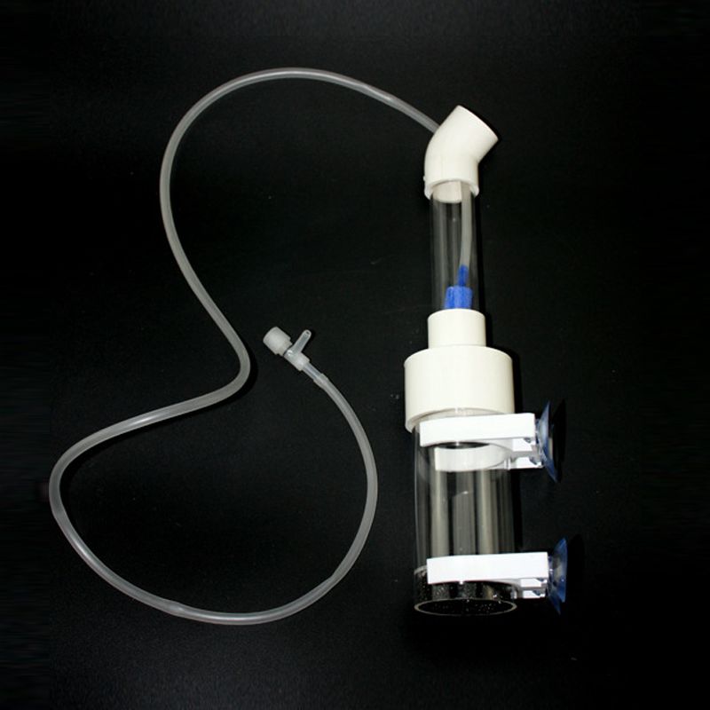 Incubadora de Ovos para Cíclid - Aquarium & Marine Museum Kota Kinabalu avaliação e preço