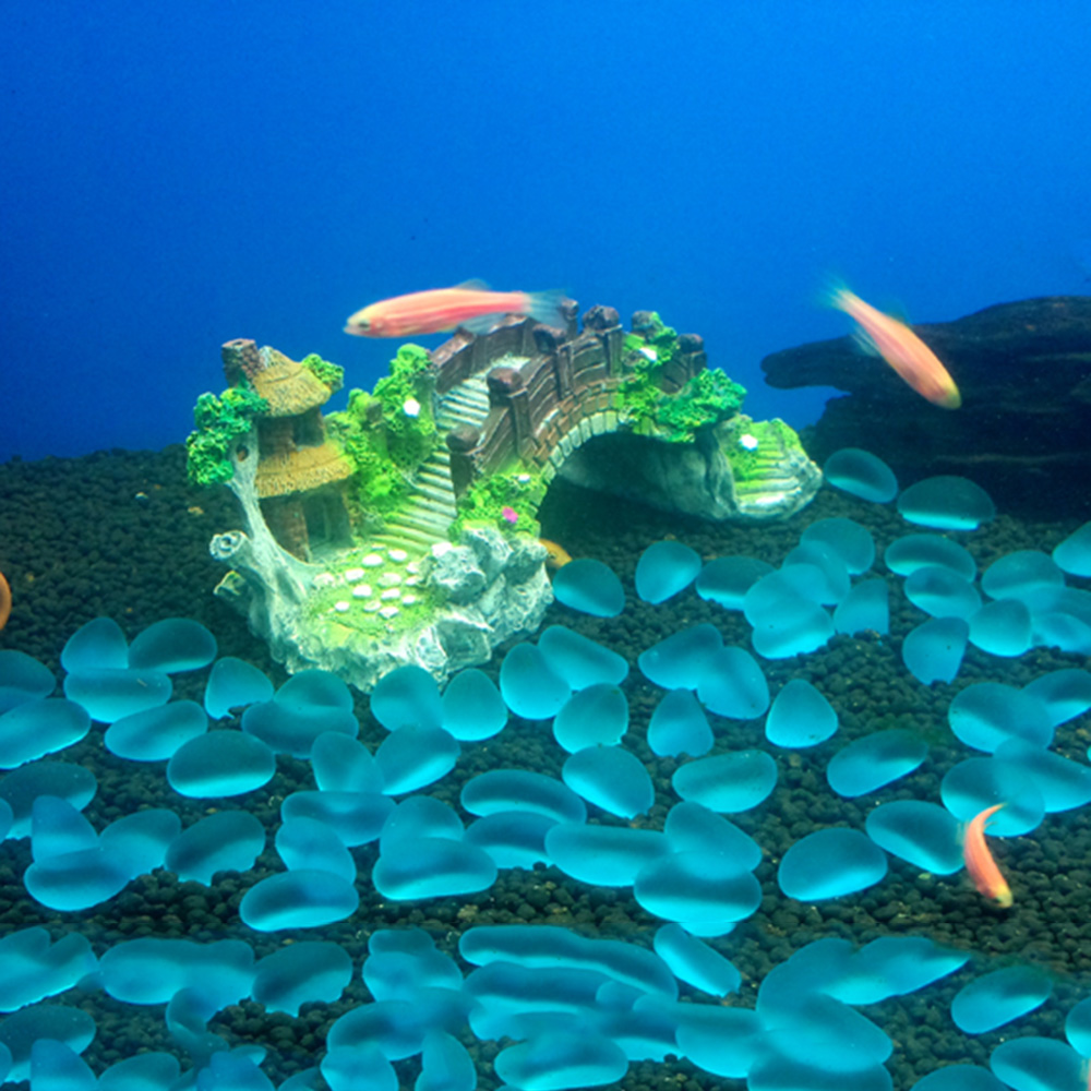 Acessórios para aquário, árvor - Aquarium Innovative Marine avaliação e preço