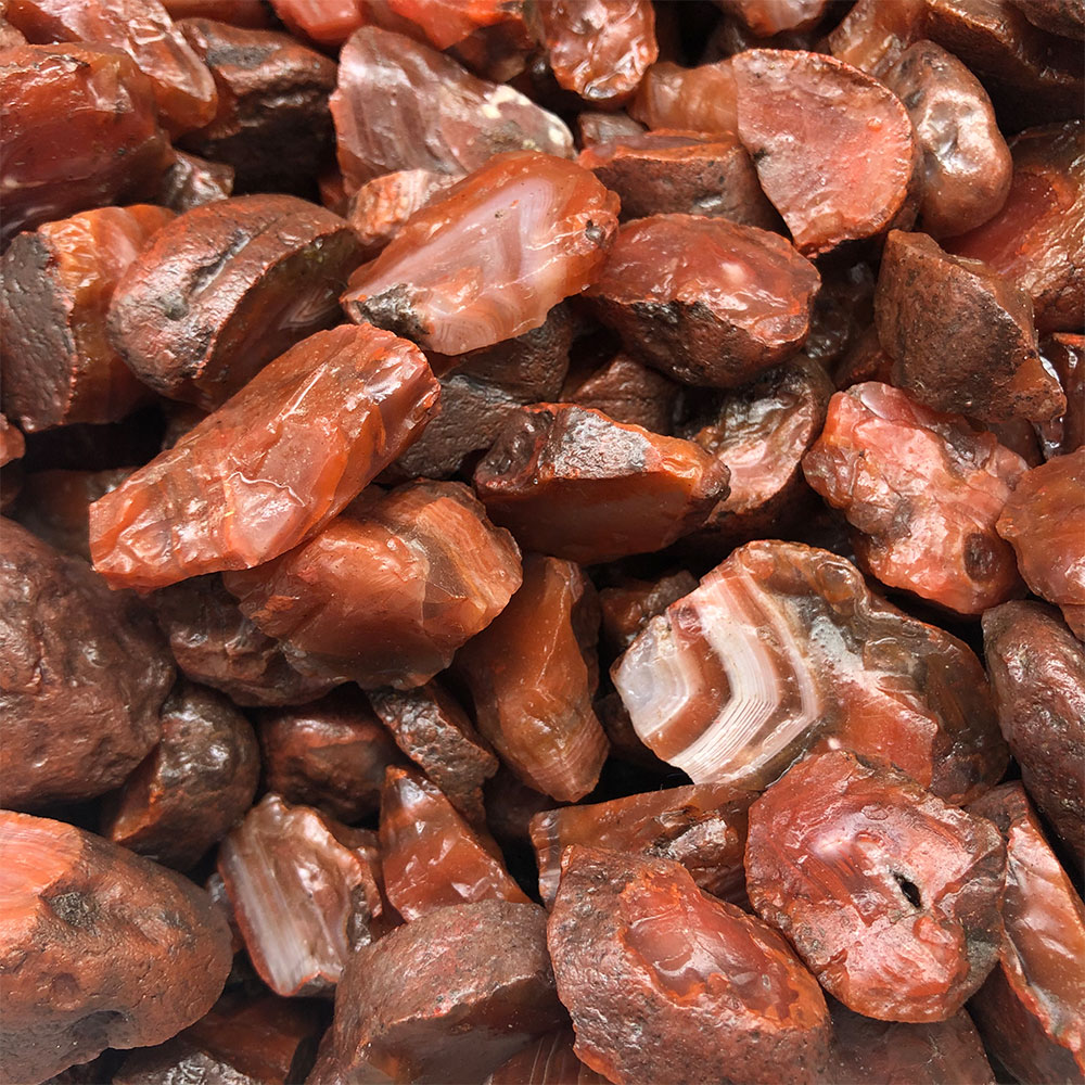 1pc aleatório áspero cru carne - Aquarium Innovative Marine avaliação e preço