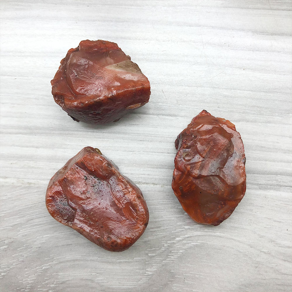 1pc aleatório áspero cru carne - Aquarium Innovative Marine avaliação e preço